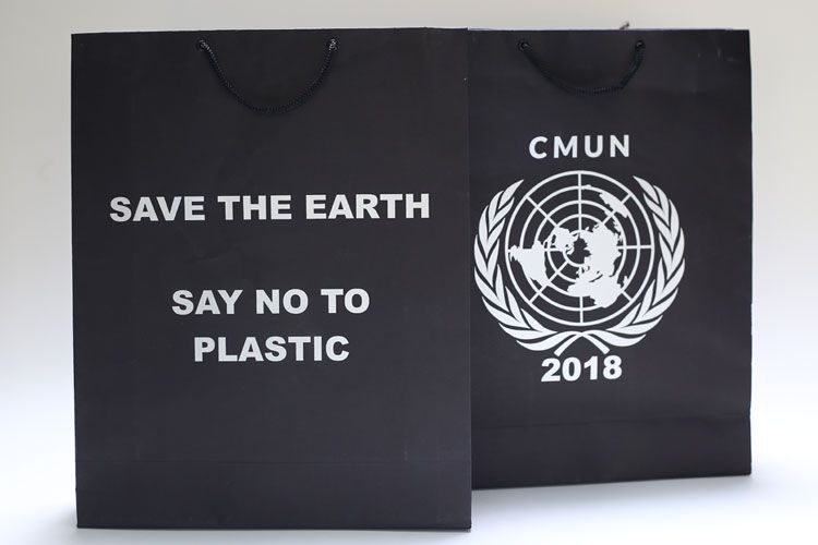 Paper bags